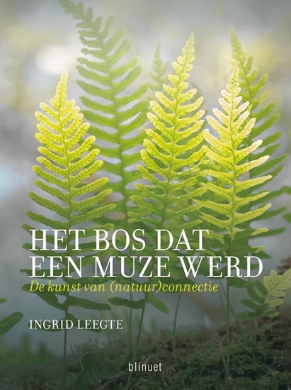 Afbeelding van Het bos dat een muze werd