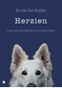 Afbeelding van Herzien
