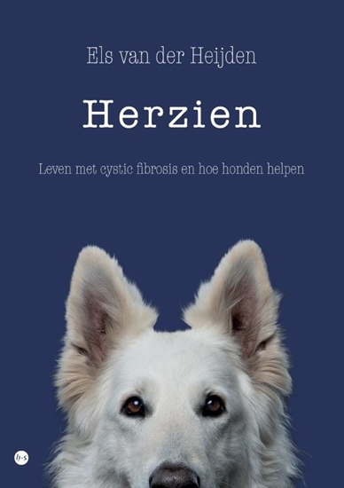 Afbeelding van Herzien