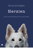 Afbeelding van Herzien