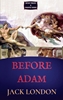 Afbeelding van Before Adam