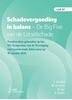 Afbeelding van LSA Schadevergoeding in balans. De Big Five van de Letselschade