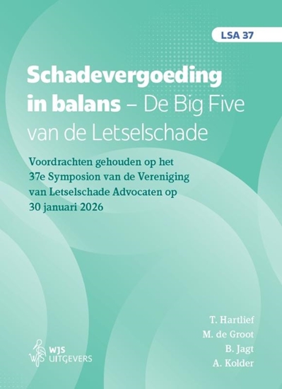Afbeelding van LSA Schadevergoeding in balans. De Big Five van de Letselschade