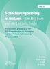 Afbeelding van LSA Schadevergoeding in balans. De Big Five van de Letselschade