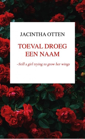 Afbeelding van Toeval droeg een naam