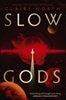 Afbeelding van Slow Gods