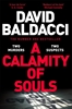 Afbeelding van A Calamity of Souls