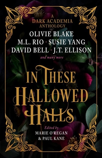 Afbeelding van In These Hallowed Halls: A Dark Academia anthology