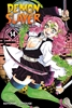 Afbeelding van Demon Slayer: Kimetsu no Yaiba Demon Slayer: Kimetsu no Yaiba, Vol. 14