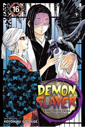 Afbeeldingen van Demon Slayer: Kimetsu no Yaiba Demon Slayer: Kimetsu no Yaiba, Vol. 16