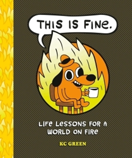Afbeelding van This is Fine: Life Lessons for a World on Fire