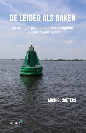 Afbeelding van De leider als baken
