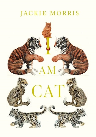 Afbeelding van I am Cat
