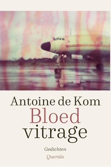 Afbeelding van Bloedvitrage