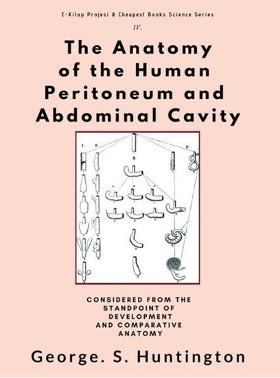 Afbeelding van The Anatomy of the Human Peritoneum and Abdominal Cavity