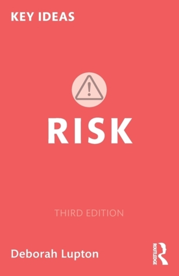 Afbeelding van Key Ideas Risk