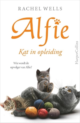 Afbeeldingen van Alfie Kat in opleiding