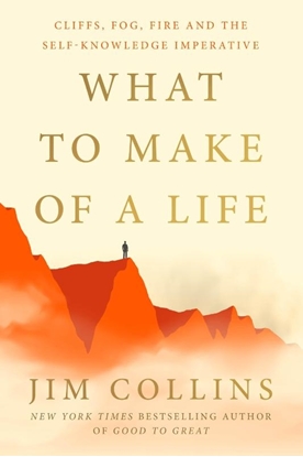 Afbeeldingen van What to Make of a Life