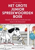 Afbeelding van Het grote junior spreekwoordenboek