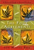 Afbeelding van A Toltec Wisdom Book The Four Agreements