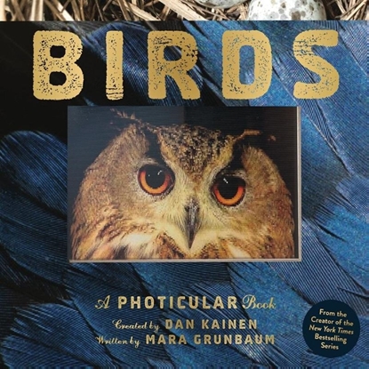 Afbeeldingen van Photicular Birds