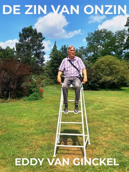 Afbeelding van DE ZIN VAN ONZIN