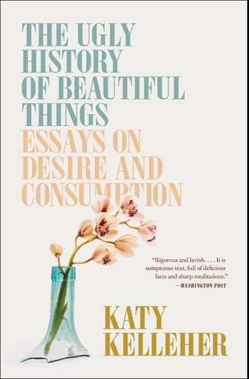 Afbeelding van The Ugly History of Beautiful Things