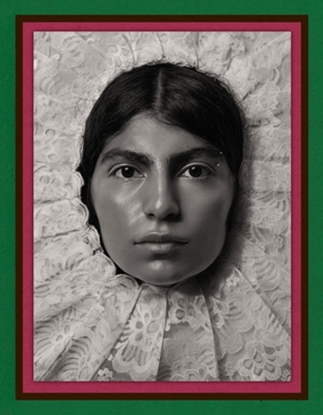 Afbeeldingen van Pieter Henket: Birds of Mexico City