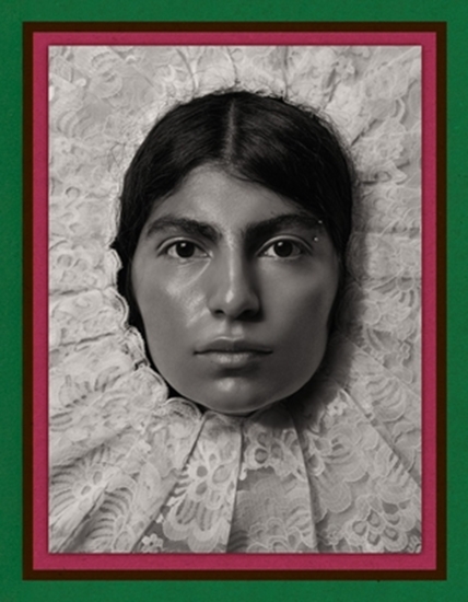 Afbeelding van Pieter Henket: Birds of Mexico City