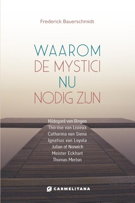Afbeeldingen van Waarom de mystici nu van belang zijn