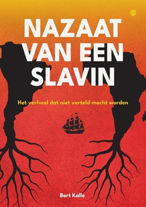 Afbeeldingen van Nazaat van een slavin