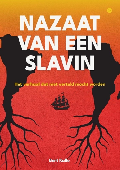 Afbeelding van Nazaat van een slavin