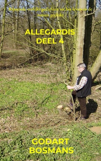 Afbeelding van Allegardis deel 4