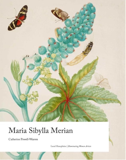 Afbeelding van Illuminating Women Artists Maria Sibylla Merian
