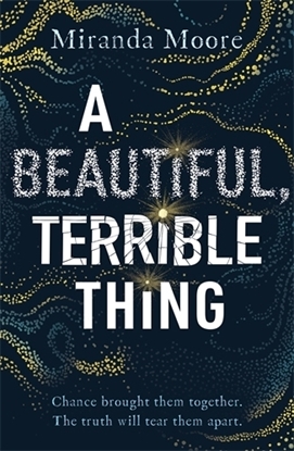 Afbeeldingen van A Beautiful, Terrible Thing