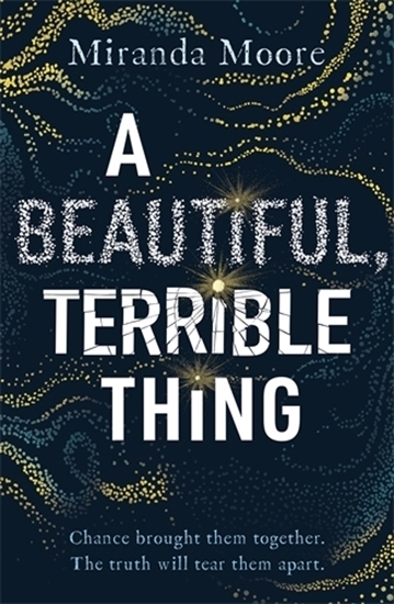 Afbeelding van A Beautiful, Terrible Thing