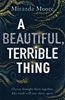 Afbeelding van A Beautiful, Terrible Thing