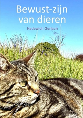 Afbeeldingen van Bewust-zijn van dieren