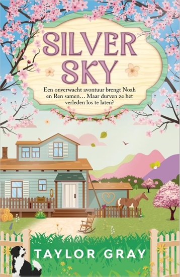 Afbeelding van De Carter-broers Silver Sky