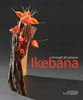 Afbeelding van Ikebana through all seasons