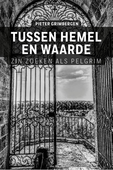 Afbeelding van Tussen hemel en waarde