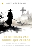 Afbeelding van De geheimen van goddelijke genade