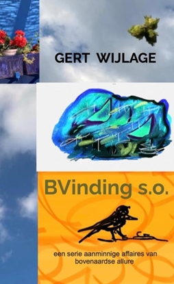 Afbeeldingen van BVinding s.o.