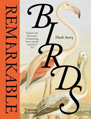 Afbeeldingen van Remarkable Birds