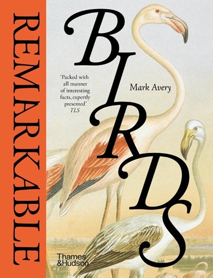Afbeelding van Remarkable Birds