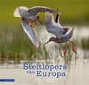 Afbeelding van Steltlopers van Europa