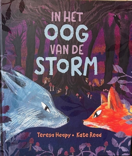 Afbeelding van In het oog van de storm