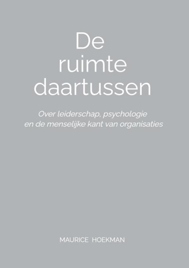Afbeelding van De ruimte daartussen