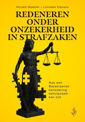 Afbeeldingen van Redeneren onder onzekerheid in strafzaken