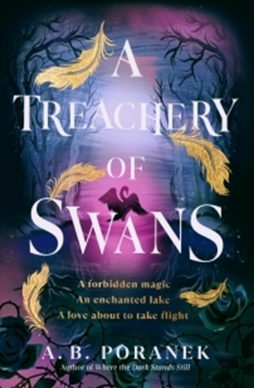 Afbeelding van A Treachery of Swans